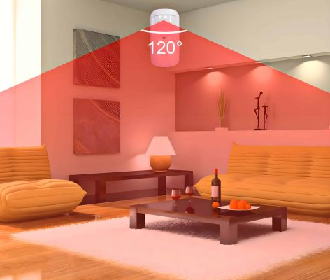 Motion sensor detection